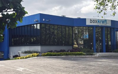 Hugo Johnstone Case Study